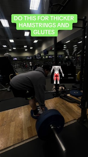 Stiff Leg Deadlift for Thicker Hamstrings and Glutes