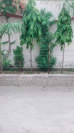 Punjabi boly na♥️♥️🔥🔥#gujranwala #duet #foryou #desi #punjabi #indian #pakistan #viral #canada