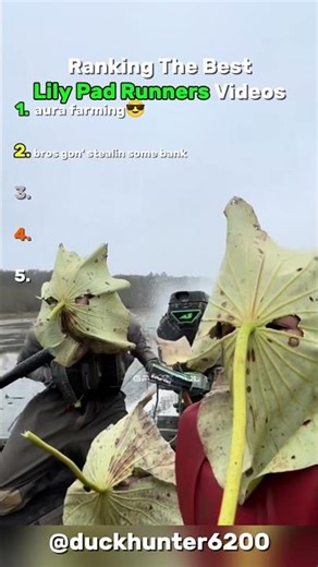 Ranking The Best Lily Pad Runners Videos #usa #tiktok #shortsfeed #shorts #lilypads