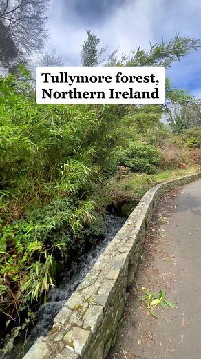Another sunday, another adventure - Tullymore forest park, Northern Ireland 🌲🌳 #northernireland #tullymoreforestpark #hikes #adventure #nature #fyp #waterfalls