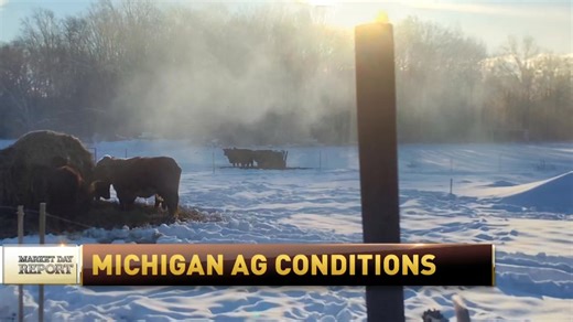 The interview with Rfdtv went well and I did not know it was going to be live until the last minute. Then I became very nervous. | 1-Man Ranch LLC