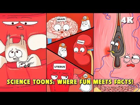 Fun & Fascinating: Understanding Complex Body Mysteries in Seconds #animation #science #funny