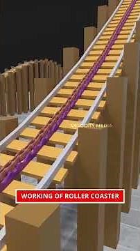 The Calculus of Terror: How Roller Coasters Defy Gravity 🎢 | VELOCITY MEDIA