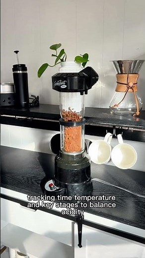 Coffee Roast Profile Explained in 60 Seconds