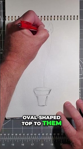 Quick Sketch a Peace Lily: Easy Art Tutorial! (version 2 of 2)