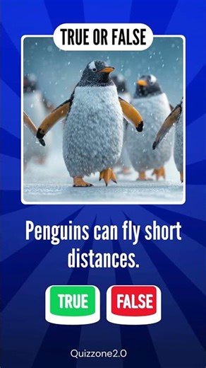 🐧 Penguins Can Fly Short Distances? TRUE or FALSE! 🪽 | #PenguinFacts #TrueOrFalse #AnimalFacts