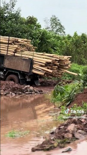 đi dọng việt nam #truck