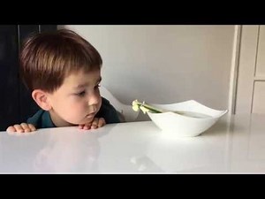 Kids Science: Testing heat conduction