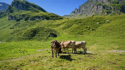 Exploring Mount Titlis and Trübsee Engelberg Switzerland (4K)