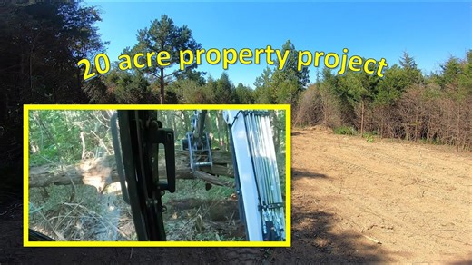 Revisiting the 20-acre project: Land clearing for driveway, homesite & micro food plot