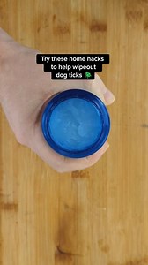 9.8K views · 185 reactions | Simple at Home Solutions to Help Wipeout Dog Ticks!者 Have you tried any of these at home hacks #doghack #doghealth #dogticks | PetLab Co. | Facebook
