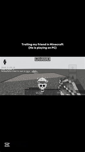 Trolling My Friend In Minecraft