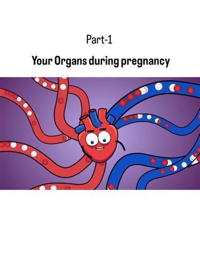 🌸 Your Organs During Pregnancy – What’s Really Going On Inside? Pregnancy is a beautiful journey, but did you know your organs actually shift to make room for your growing baby? 🤰 As your uterus expands, it pushes up against your lungs, making you feel short of breath. Your stomach and intestines get moved upwards and to the side, which can cause indigestion and heartburn. Even your bladder gets squeezed—hello, frequent urination! 😅 Your heart works harder too, pumping more blood to support y