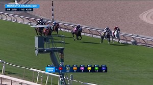 19K views · 187 reactions | AG BULLET ($5) vied for the lead early, took command in the lane, and pulled clear for her first graded win in Santa Anita's $100,000 Monrovia Stakes (G3)! The gray filly piloted to victory by Umberto Rispoli for trainer Richard Baltas. | FanDuel Racing | Facebook