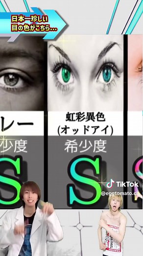 オッドアイの美しさとその種類