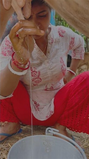 Milk is dripping from Munni's breast🍼🥵🤭 #rajuandbarnavlogs #milking #love