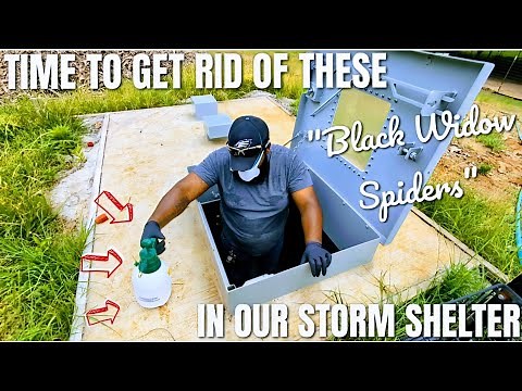 You Won't Need To Call "TERMINIX" After Watching This!!! | HOW TO BECOME YOUR OWN "PEST SERVICE"