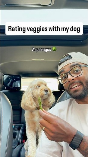 Mini Cockapoo Chooses Her Favourite Vegetables 😳