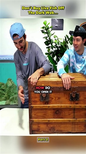Don’t Buy Live Fish Off The Dark Web… #thefishguys #fish #mysterybox #Vlog
