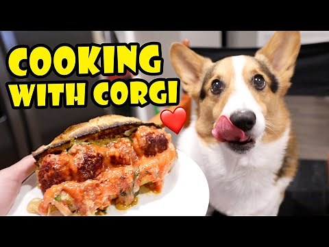 COOKING with CORGI DOG: Breakfast, Lunch + Dinner || Life After College: Ep. 692