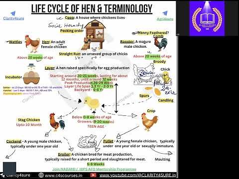 Nabard Grade a | Animal Husbandry | Poultry | Terminologies | Hen Life Cycle | #nabardgradea