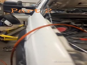 Professional In His Field  (VIDEO)