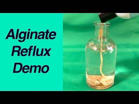 How Alginate Helps Control Reflux: Real-Life Demonstration