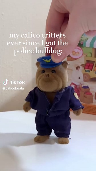 calicokoala on TikTok