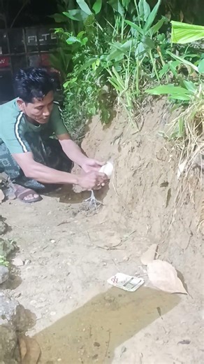 Too many offspring #nature #shortvideo