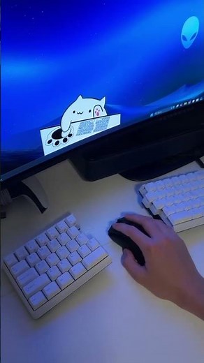 POV: Bongo Cat Got a Split Keyboard