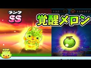 覚醒したメロンニャン‼『妖怪ウォッチぷにぷに』Yo-kai Watch Wibble Wobble