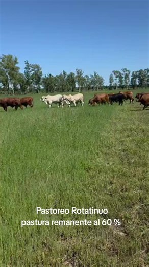 Videos de Victor_Núñez♧98 (@victornunez25_98) con “som original - cowboy 🤠”