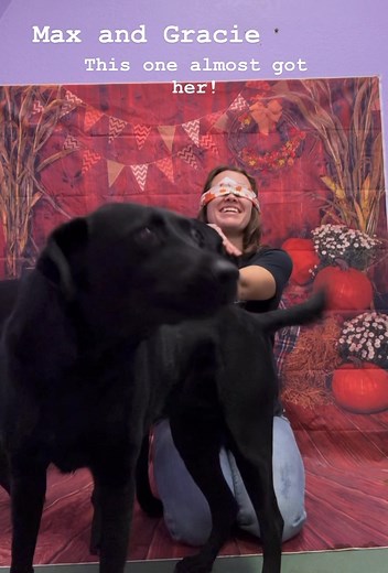 Willow Tree Kennels on Reels