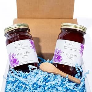 JoeB Gourmet Muscadine Jelly, Grape Jelly Made from Muscadine Grapes, (2 pack) 9 Ounce Jars