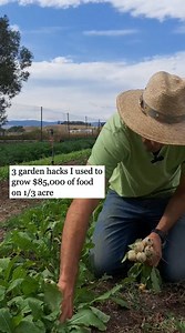 Maximize your harvest, best crops for small gardens