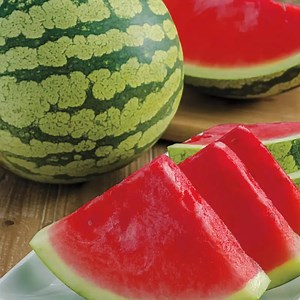 Watermelon Gurney's® Delight Improved Hybrid