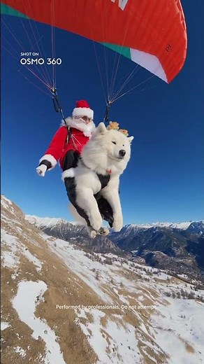 Rudolph’s off...paragliding with my pup to deliver gifts | Osmo 360