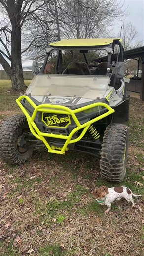 Reviving My Polaris RZR After Two Years of Sitting