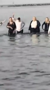 9.7K views · 209 reactions | Concurs de tricouri ude ‼️藍 Europarlamentar Diana Iovanovici Șoșoacă și senatori/deputați în Parlamentul României. Pentru asta îi plătim 樂 Circ 藍 | Liliana Ştefan | Facebook