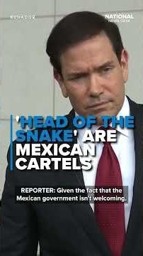 Mexico NOT doing 'NEARLY ENOUGH' to fight Mexican cartels, Rubio says