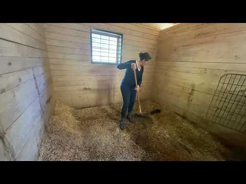 Efficient stall cleaning for highly cared for horses! Clean a stall well and save costs on shavings…
