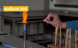 Identifying Ions 离子检测