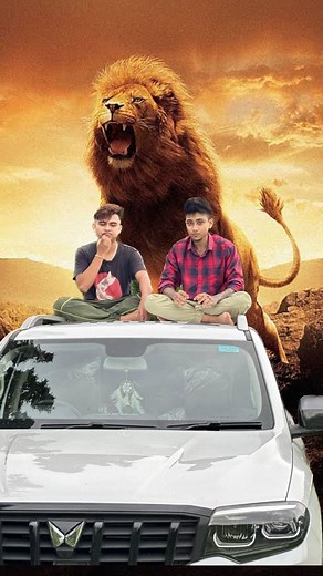 Sheer/cheetah | sheeer #sherdaily #sheeer #viral #fyp #explorepage | Instagram