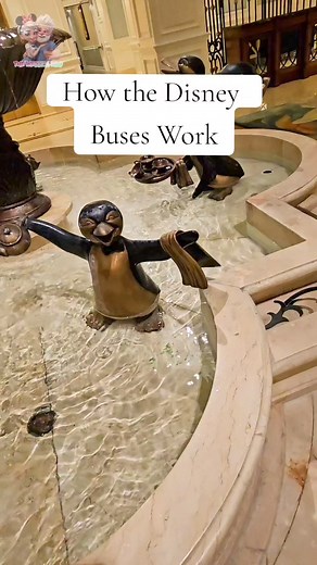 275K views · 2.5K reactions | How Disney buses work. What time do the Disney Buses run? #disney #disneyworld #disneyworldflorida #disneyhacksandtips #disneytipsandtricks #disneyplanning #disneydining #disney #wdw #disneyworld #magickingdom #magickingdompark | Jessica Pruitt | Facebook