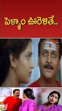 పెళ్ళాం ఊరెళితే.. #movies #comedy #funny #shorts #ytshorts #telugumovies #teluguone