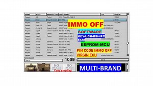IMMO OFF Software Multibrand Ecu Service Tool Virgin Ecm Immo Bsi Uch Pin Code - Etsy