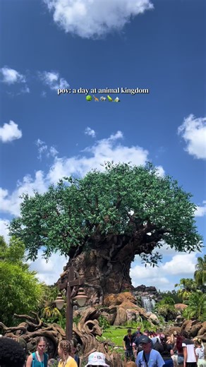 A Day at Disney's Animal Kingdom: Adventure Awaits