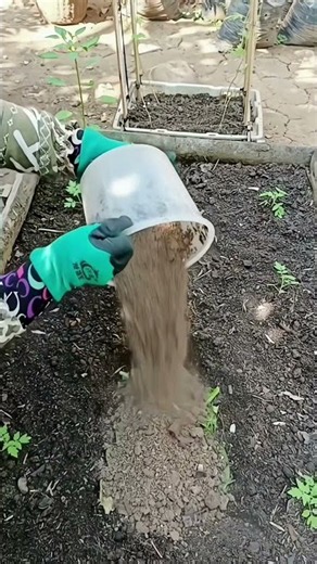 Bury Kitchen Scraps in Your Garden Bed — Thank Me Later 🪱