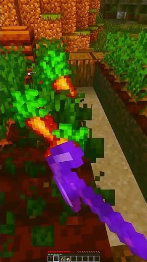 Fortune vs Crops… Does It Increase Drops? 🌾 | Minecraft Shorts