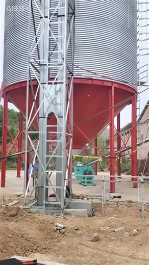 Modern grain storage solution 🌾 Cone bottom steel silo Efficient unloading & durable structure. Used in farms and grain processing plants worldwide. What grain do you usually store? Which capacity do you need? #grainsilo #steelstructure #agriculture #grainstorage #farmtech